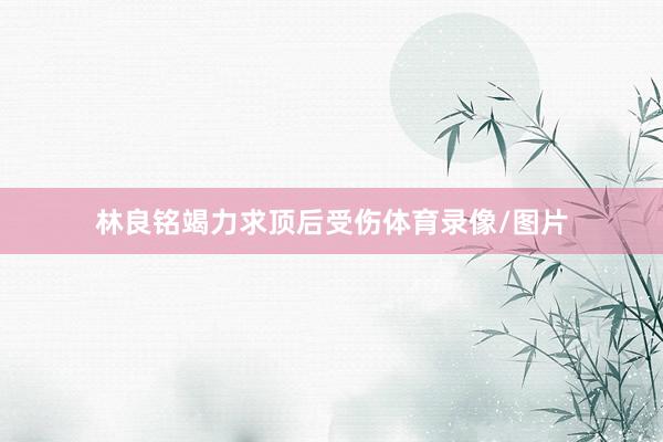 林良铭竭力求顶后受伤体育录像/图片