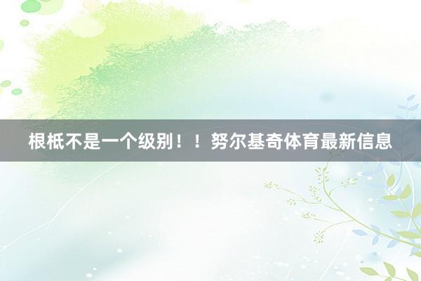 根柢不是一个级别！！努尔基奇体育最新信息