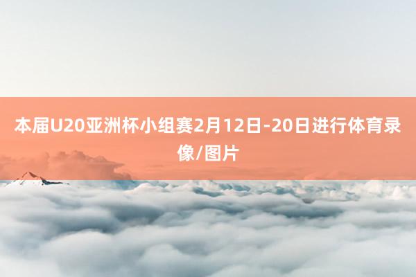 本届U20亚洲杯小组赛2月12日-20日进行体育录像/图片