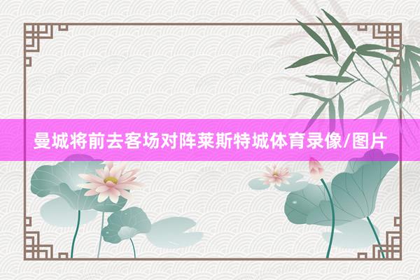曼城将前去客场对阵莱斯特城体育录像/图片
