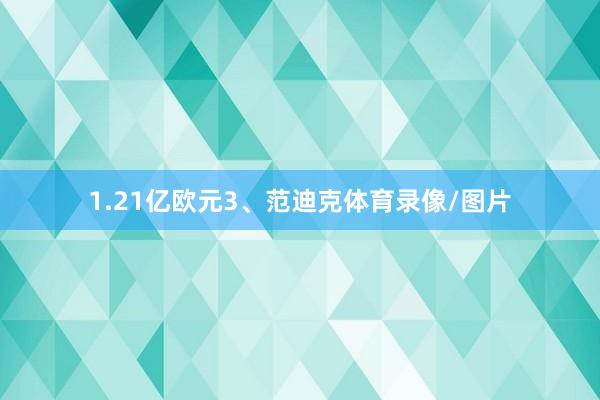 1.21亿欧元3、范迪克体育录像/图片