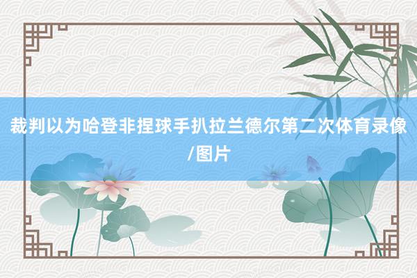 裁判以为哈登非捏球手扒拉兰德尔第二次体育录像/图片