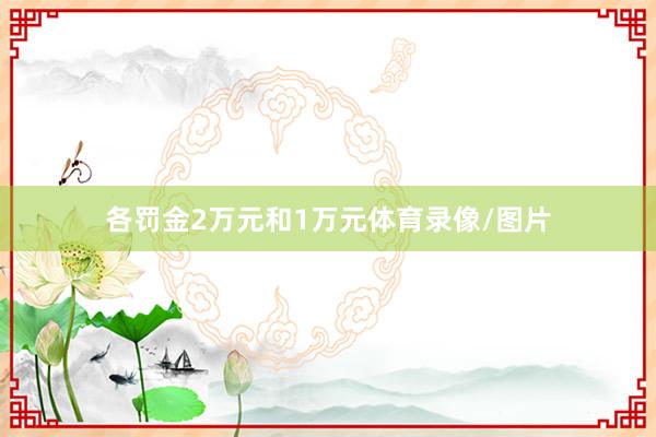 各罚金2万元和1万元体育录像/图片