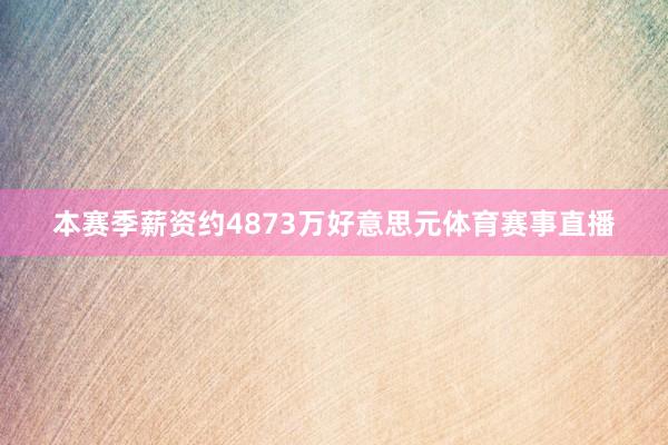 本赛季薪资约4873万好意思元体育赛事直播
