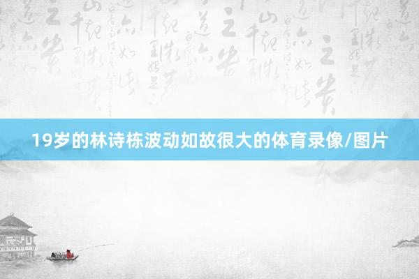 19岁的林诗栋波动如故很大的体育录像/图片