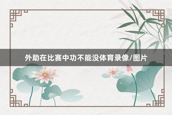 外助在比赛中功不能没体育录像/图片