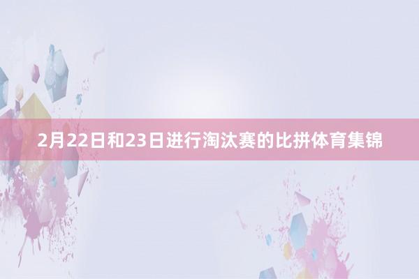 2月22日和23日进行淘汰赛的比拼体育集锦