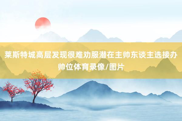 莱斯特城高层发现很难劝服潜在主帅东谈主选接办帅位体育录像/图片