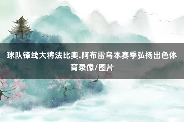 球队锋线大将法比奥.阿布雷乌本赛季弘扬出色体育录像/图片