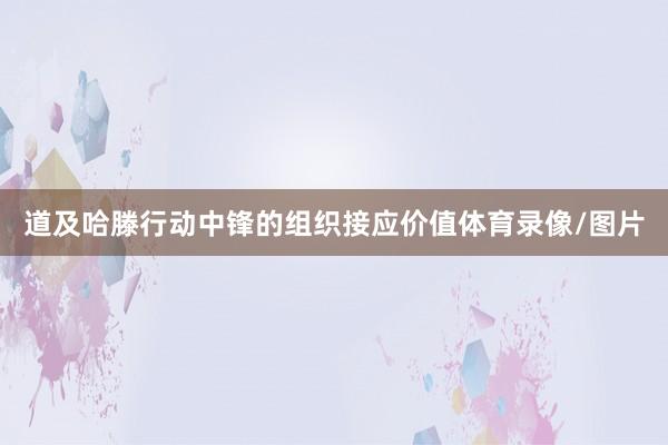 道及哈滕行动中锋的组织接应价值体育录像/图片