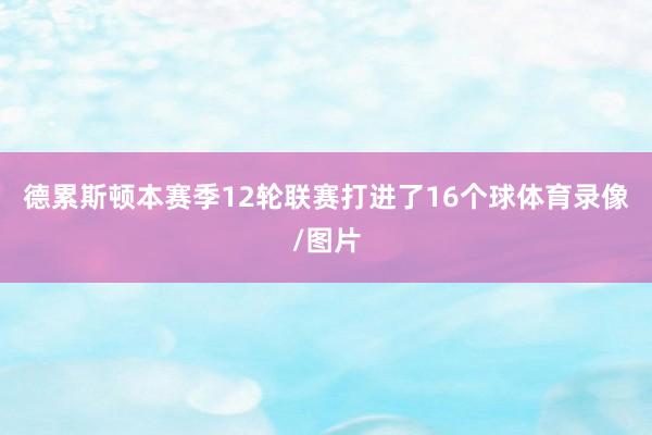 德累斯顿本赛季12轮联赛打进了16个球体育录像/图片