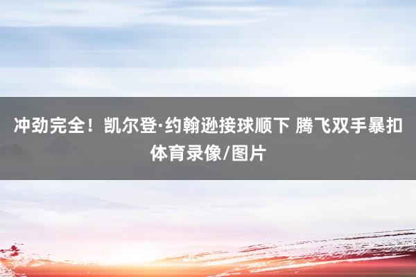 冲劲完全！凯尔登·约翰逊接球顺下 腾飞双手暴扣体育录像/图片