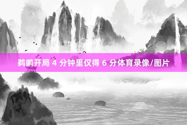 鹈鹕开局 4 分钟里仅得 6 分体育录像/图片