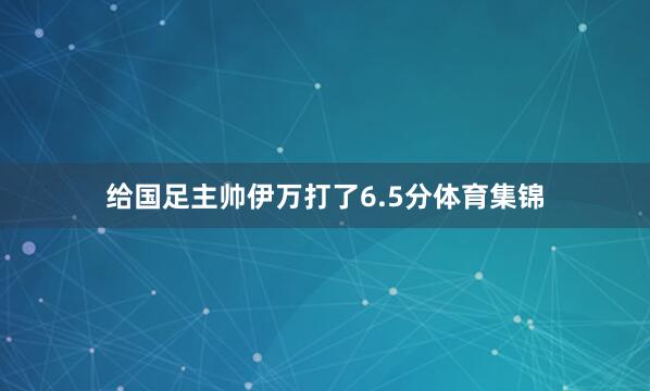 给国足主帅伊万打了6.5分体育集锦