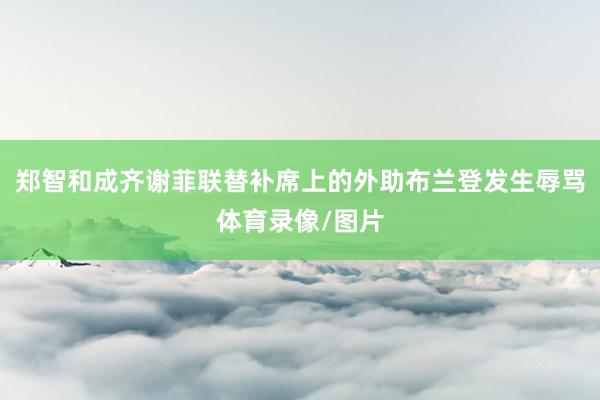 郑智和成齐谢菲联替补席上的外助布兰登发生辱骂体育录像/图片