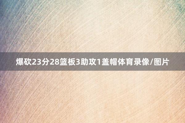 爆砍23分28篮板3助攻1盖帽体育录像/图片