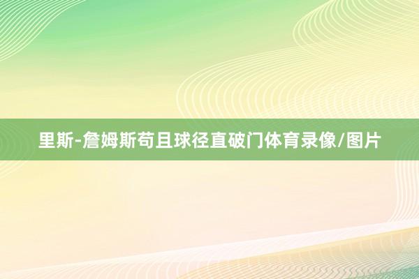 里斯-詹姆斯苟且球径直破门体育录像/图片