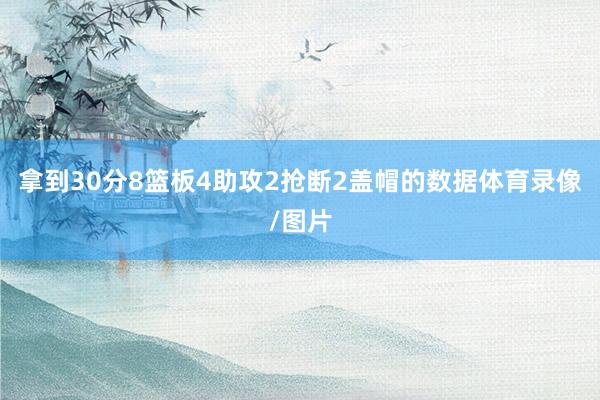 拿到30分8篮板4助攻2抢断2盖帽的数据体育录像/图片