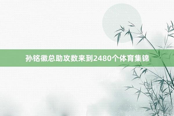 孙铭徽总助攻数来到2480个体育集锦