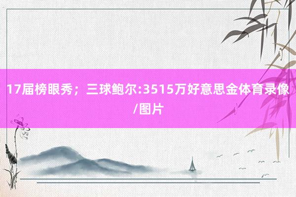 17届榜眼秀；三球鲍尔:3515万好意思金体育录像/图片