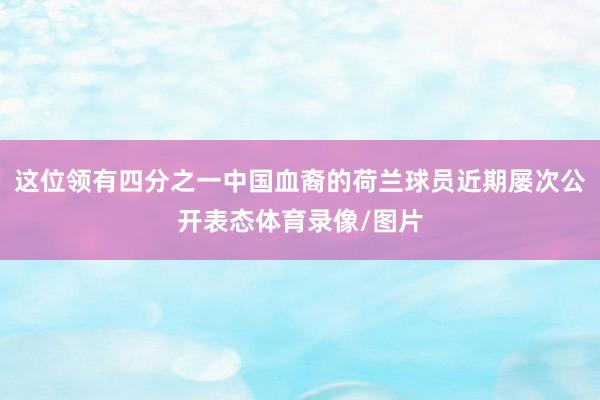 这位领有四分之一中国血裔的荷兰球员近期屡次公开表态体育录像/图片