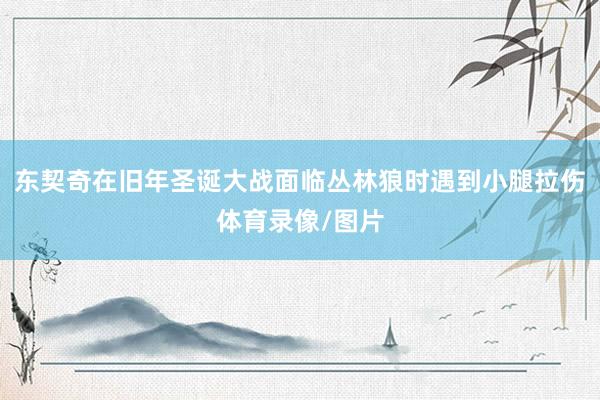 东契奇在旧年圣诞大战面临丛林狼时遇到小腿拉伤体育录像/图片