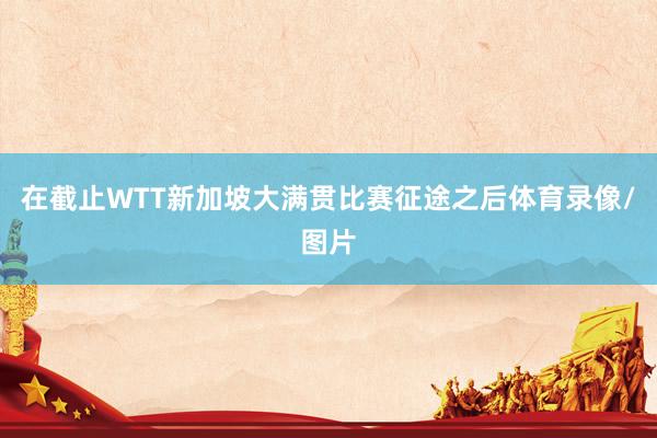 在截止WTT新加坡大满贯比赛征途之后体育录像/图片