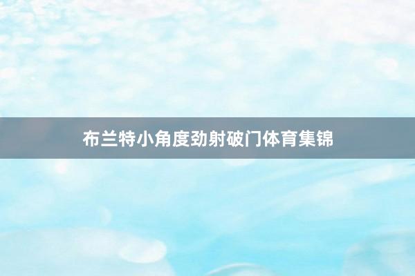 布兰特小角度劲射破门体育集锦