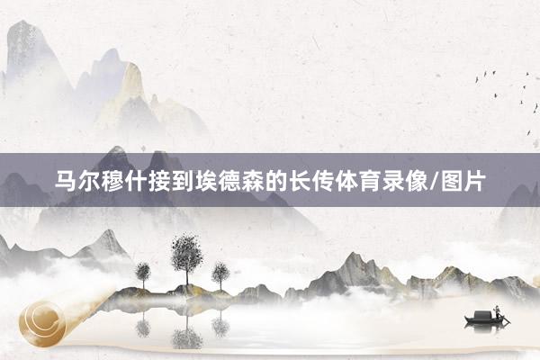 马尔穆什接到埃德森的长传体育录像/图片