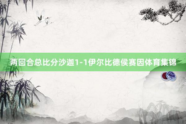 两回合总比分沙迦1-1伊尔比德侯赛因体育集锦