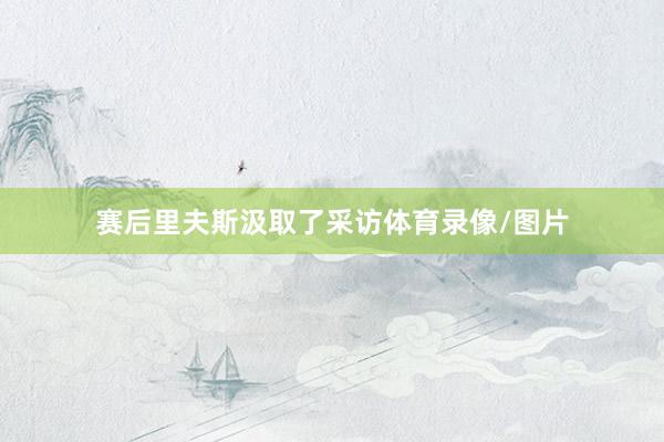 赛后里夫斯汲取了采访体育录像/图片
