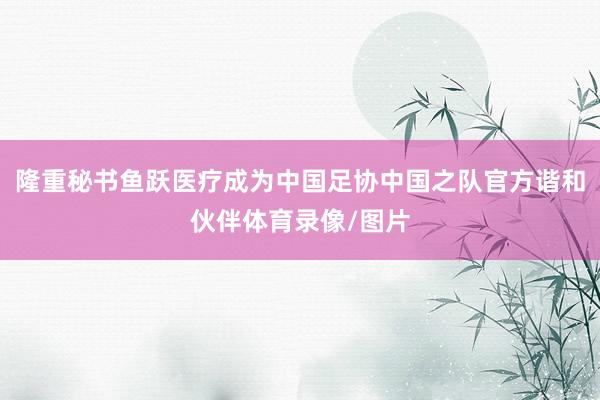 隆重秘书鱼跃医疗成为中国足协中国之队官方谐和伙伴体育录像/图片
