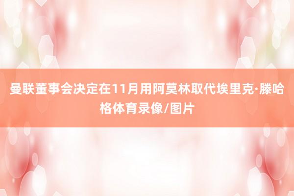 曼联董事会决定在11月用阿莫林取代埃里克·滕哈格体育录像/图片