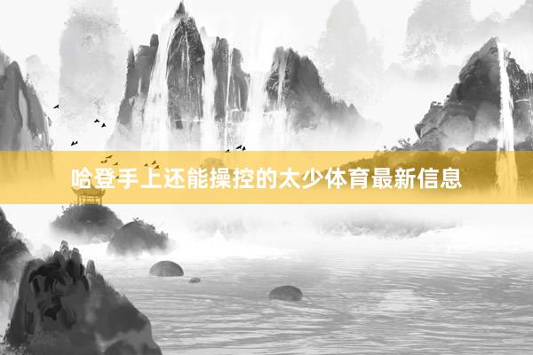 哈登手上还能操控的太少体育最新信息