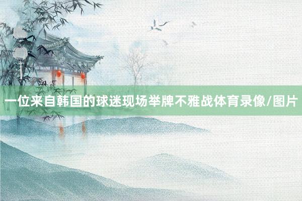 一位来自韩国的球迷现场举牌不雅战体育录像/图片