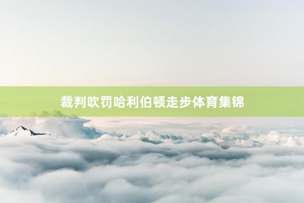 裁判吹罚哈利伯顿走步体育集锦