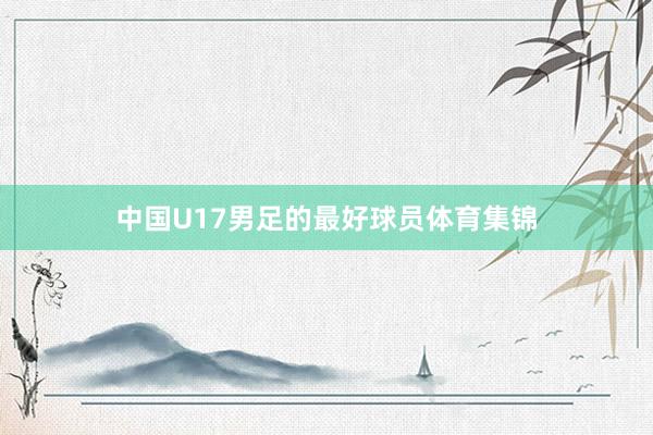 中国U17男足的最好球员体育集锦