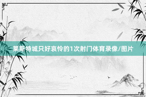 莱斯特城只好哀怜的1次射门体育录像/图片
