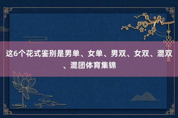 这6个花式鉴别是男单、女单、男双、女双、混双、混团体育集锦