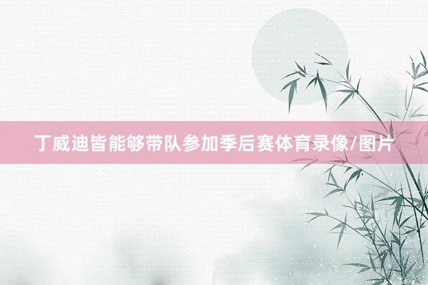 丁威迪皆能够带队参加季后赛体育录像/图片