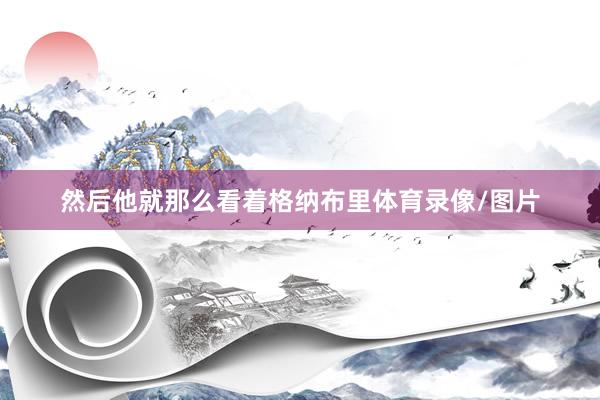 然后他就那么看着格纳布里体育录像/图片