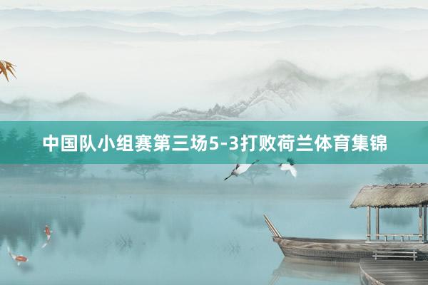 中国队小组赛第三场5-3打败荷兰体育集锦