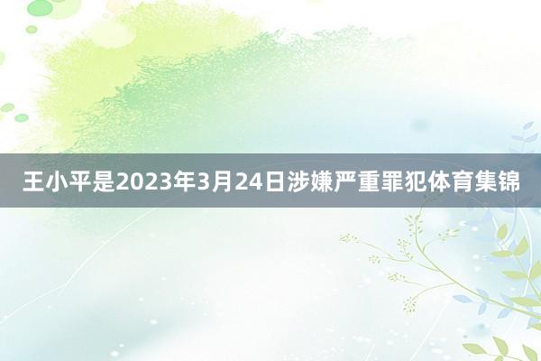 王小平是2023年3月24日涉嫌严重罪犯体育集锦
