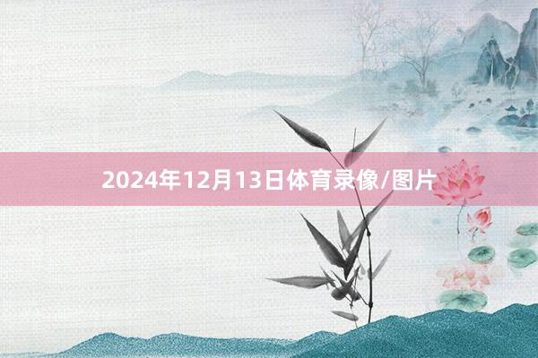 2024年12月13日体育录像/图片