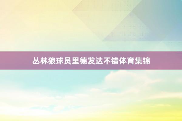 丛林狼球员里德发达不错体育集锦