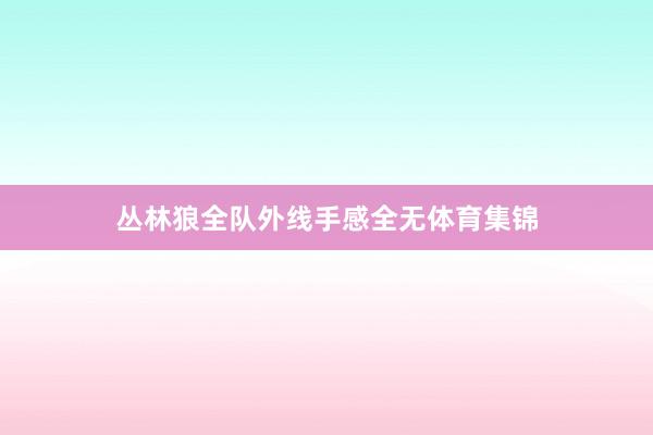 丛林狼全队外线手感全无体育集锦
