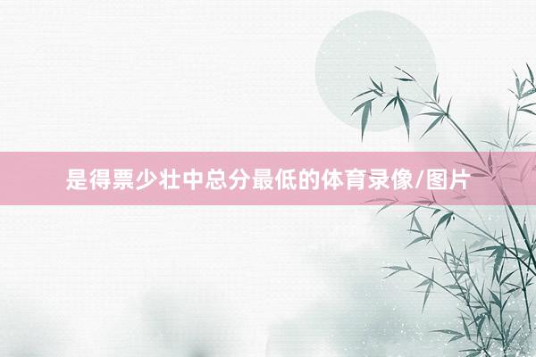 是得票少壮中总分最低的体育录像/图片