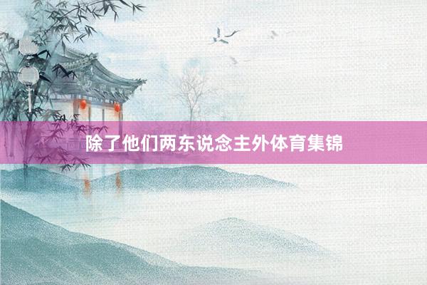除了他们两东说念主外体育集锦
