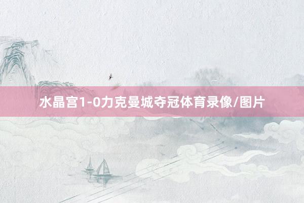 水晶宫1-0力克曼城夺冠体育录像/图片