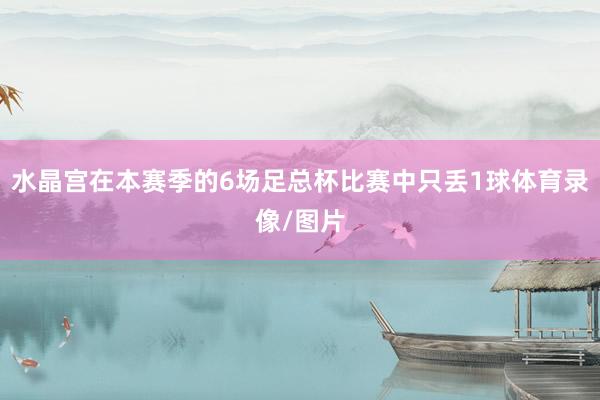 水晶宫在本赛季的6场足总杯比赛中只丢1球体育录像/图片